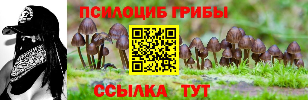 Псилоцибиновые грибы GOLDEN TEACHER  Вход с VPN  Черкесск  Галлюциногенные грибы Cubensis 